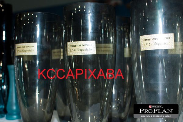 Clique sobre a foto para fechar